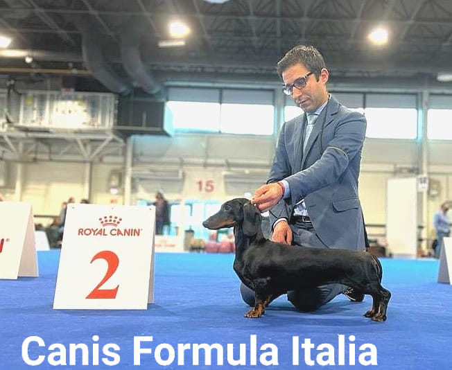 Canis Formula Italia - Vice campione Europeo Giovani 2021 - Budapest
