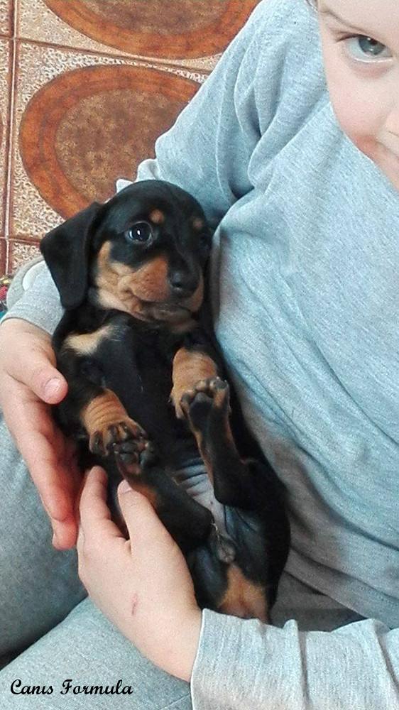 Il nostro bimbo ed il cucciolo