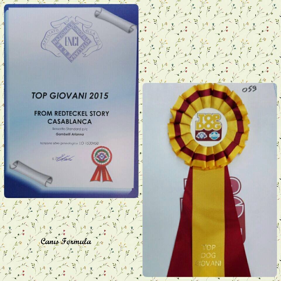 Top dog giovani 2015