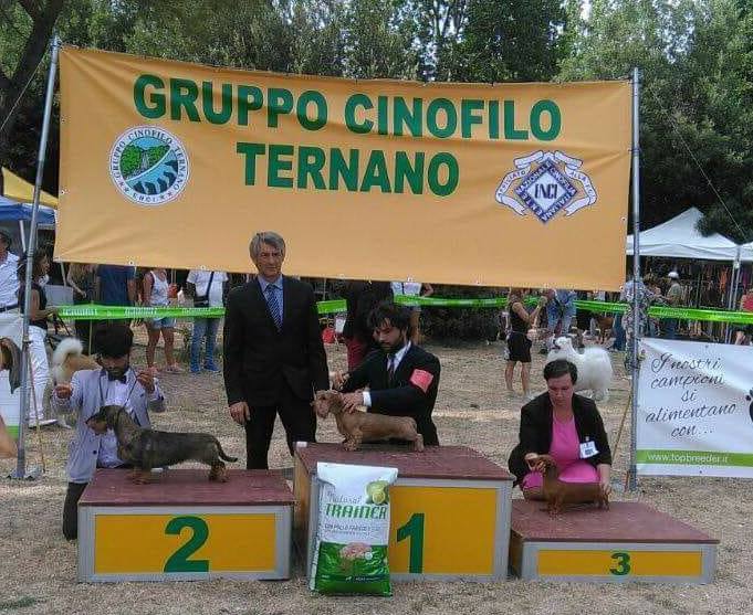 Foto 4° gruppo best in show Orvieto