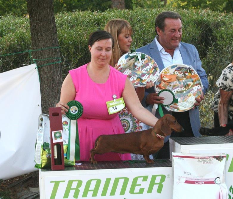 Secondo posto al best in show finale alla Regionale di Torrita di Siena