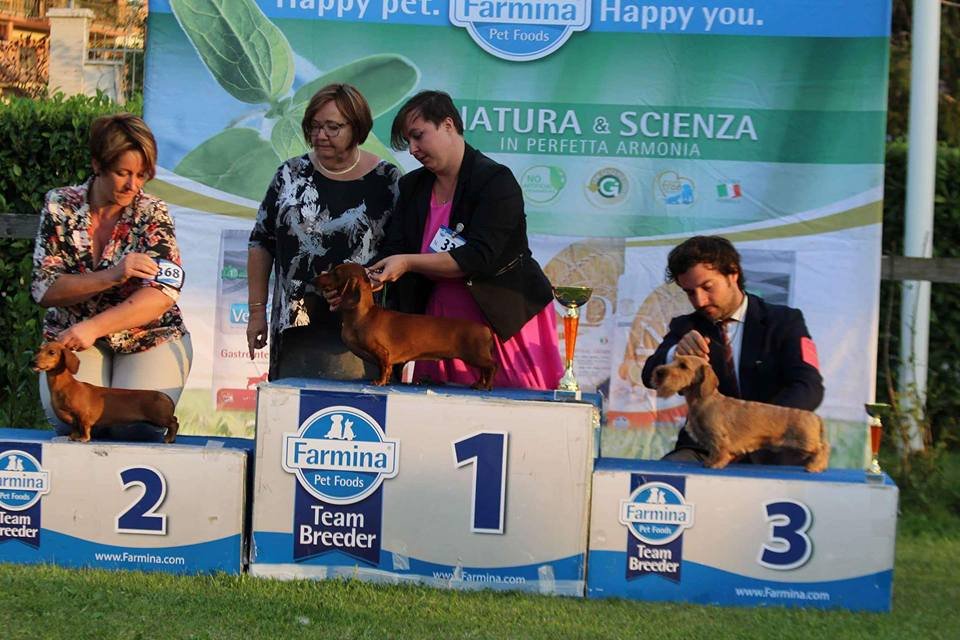 Podio 1° classificato IV raggruppamento bassotti Kurzebeine italian pasta Canis Formula - IDS Frosinone