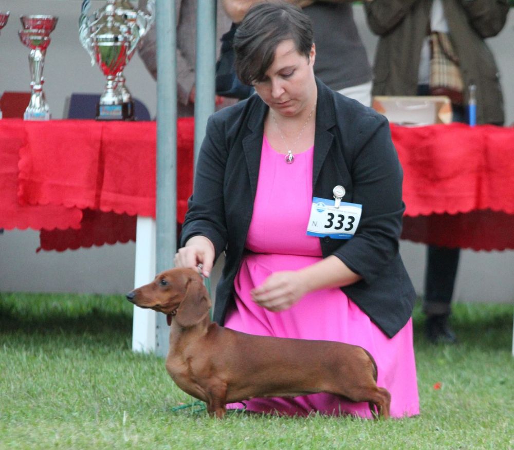 Kurzebeine italian pasta Canis Formula - Internazionale di Roma