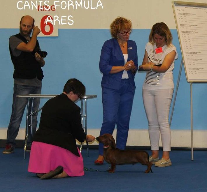 Canis Formula Ares in posizione