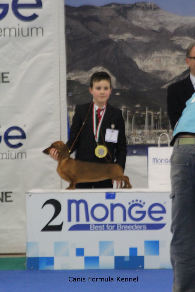 Podio Junior Handler 2 posto