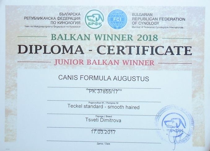 Canis Formula Augustus Junior Balkan Winner 2018