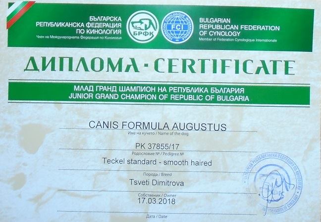 Canis Formula Augustus Junior Grand Champion di Bulgaria