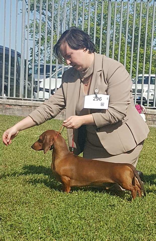 Dog Show Ravenna Ettore