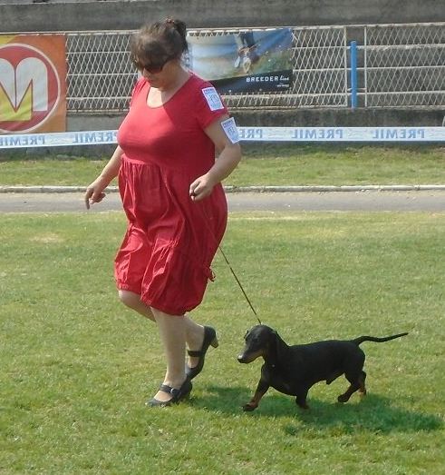 Canis Formula Augustus Junior Champion Of Serbia