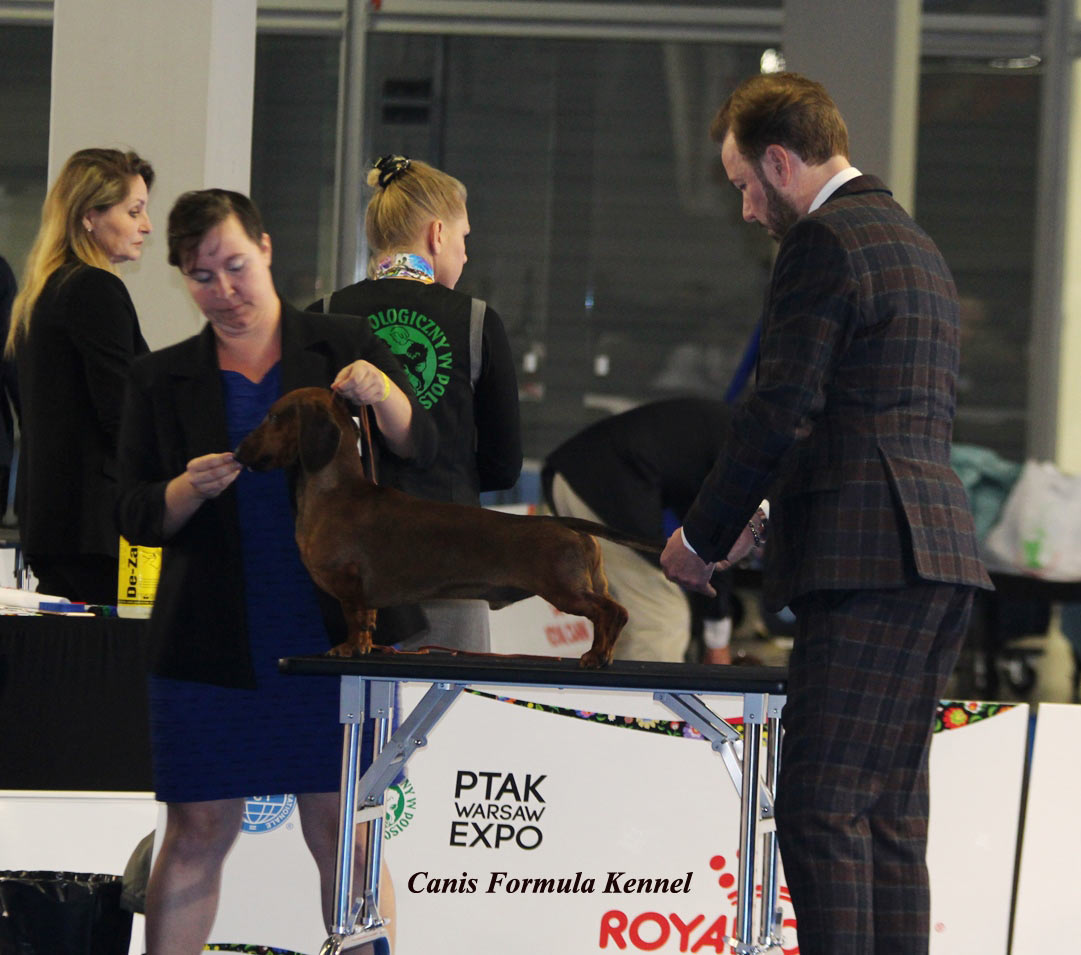 Canis Formula Ares - Euro Dog Show 2018