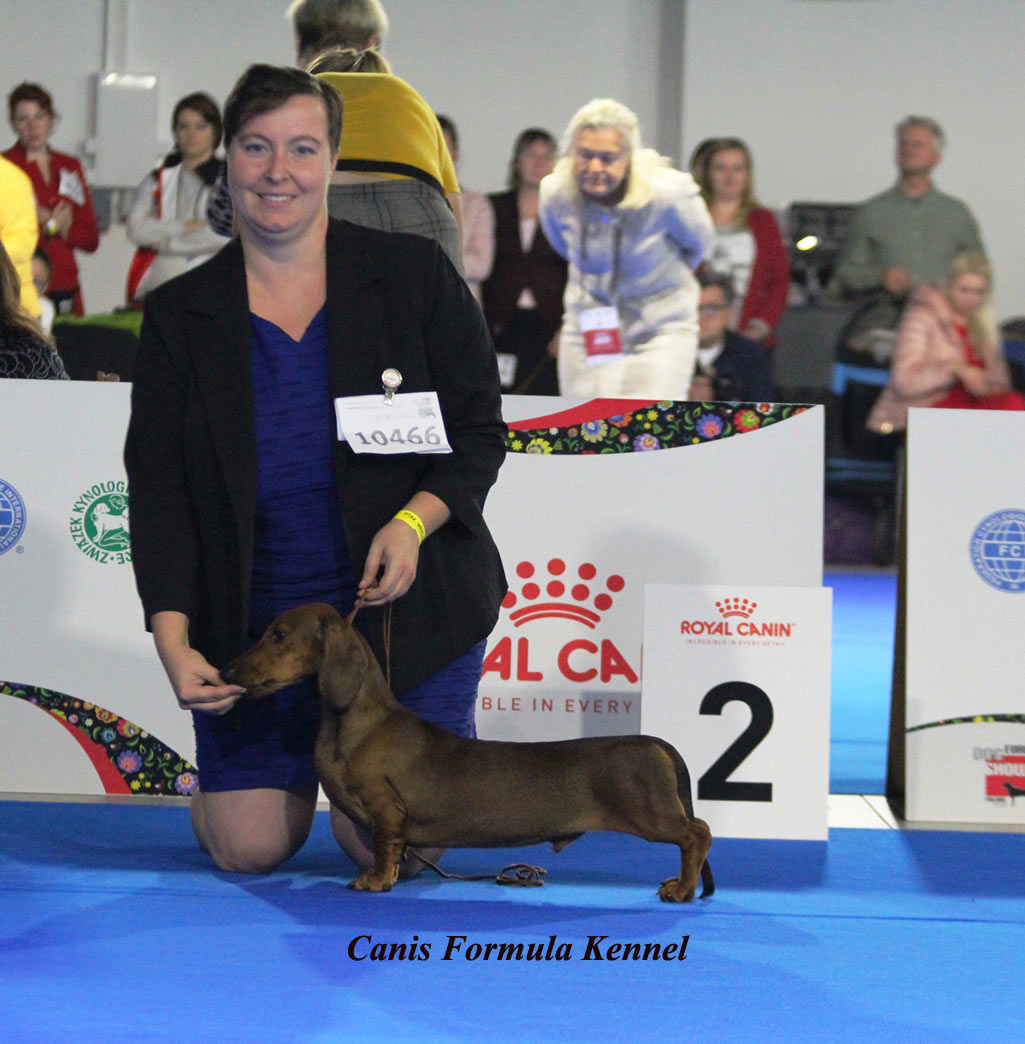 Canis Formula Bacco - Secondo Posto Euro Dog Show 2018