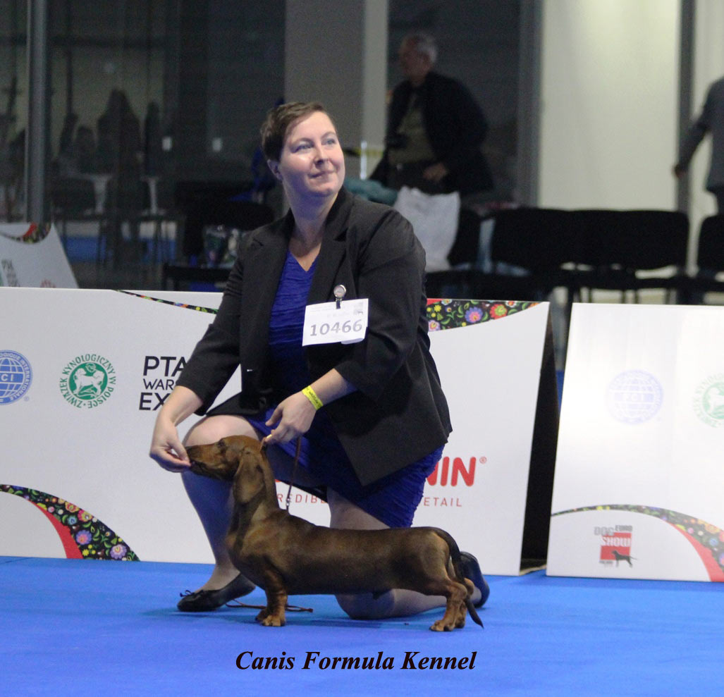 Canis Formula Bacco - Euro Dog Show 2018