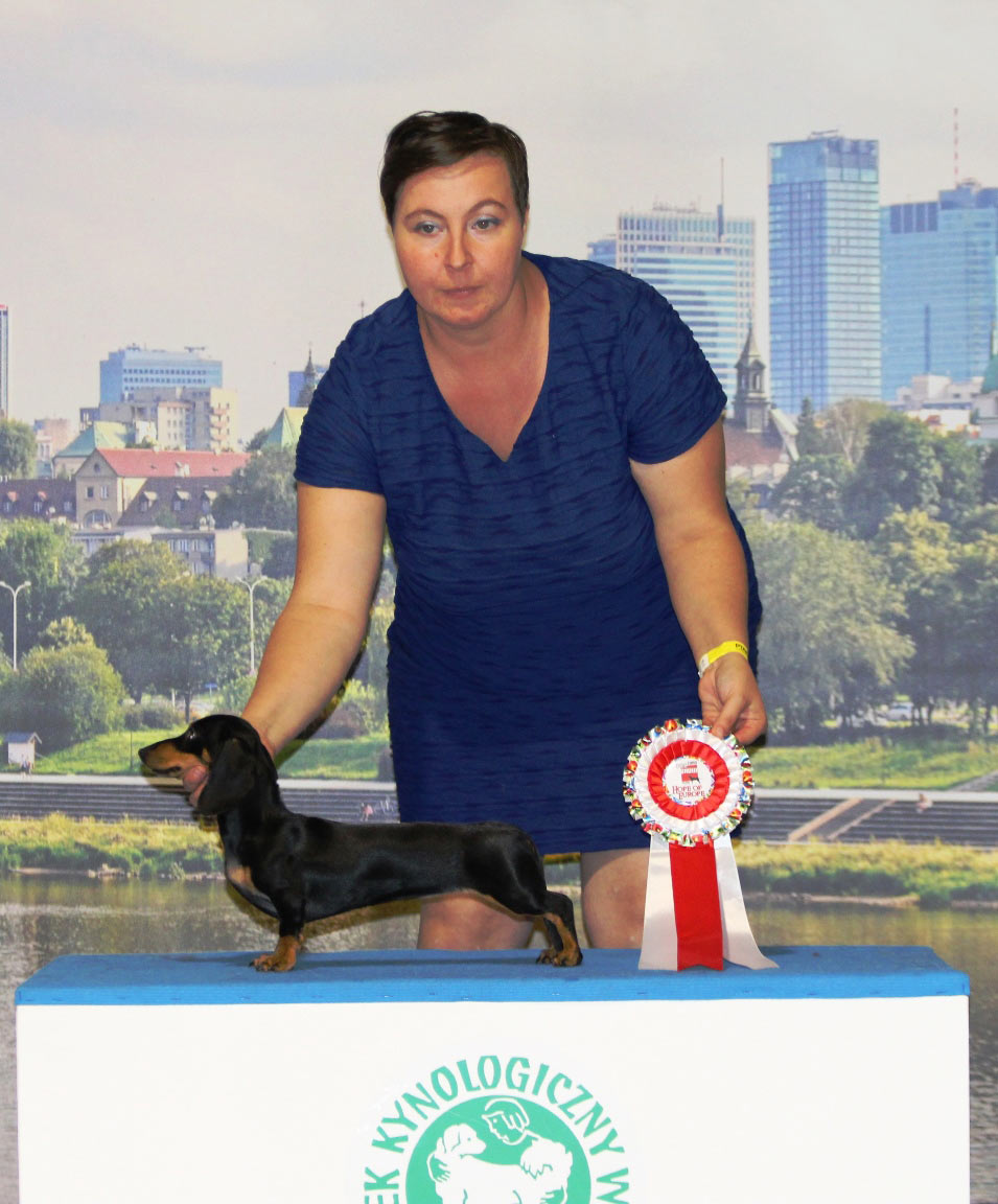 Desideria dell'Antica Torre Hope of Europe - Euro Dog Show 2018