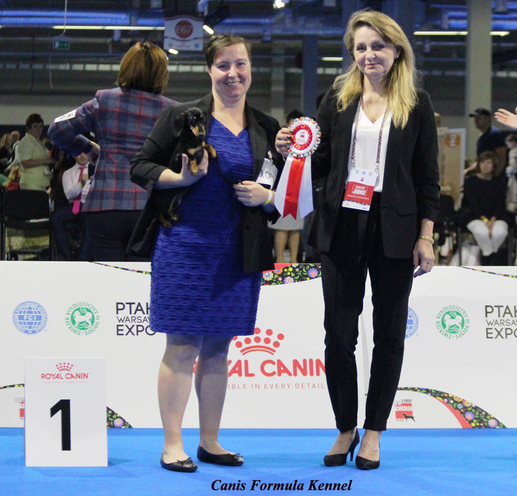 La piccola kaninchen pelo corto 1° posto all' Euro Dog Show 2018