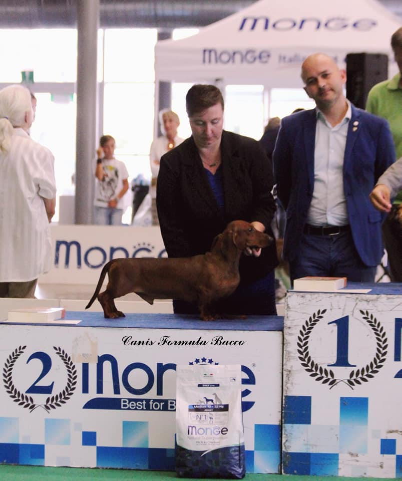 Canis Formula Bacco 2 posto internazionale di Rapallo