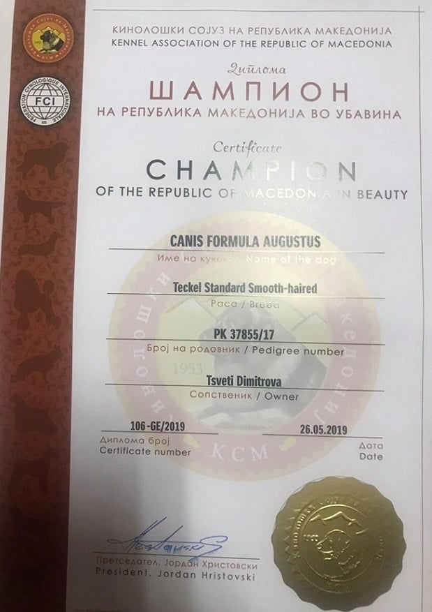 Canis Formula Augustus Diploma Campione Macedone