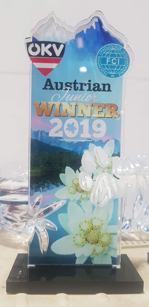 Austria Winner 2019