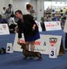 European Dog Show 2019 - Canis Formula Bacco