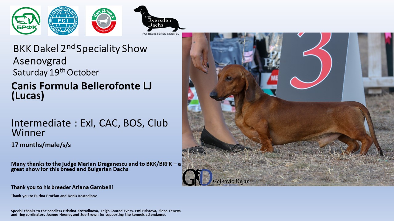 Canis Formula Bellerofonte - Club show 2019 Bulgaria