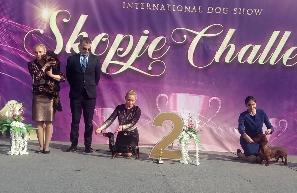 cacib skopje challenge