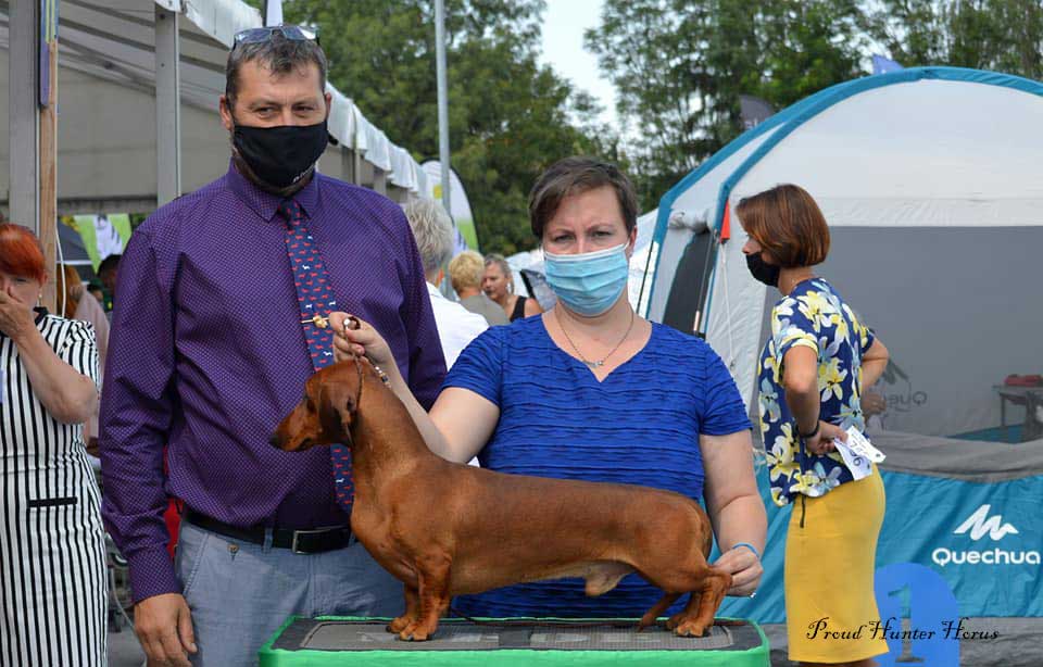 Canis Formula Kennel  - Giudice Lokodi Csaba