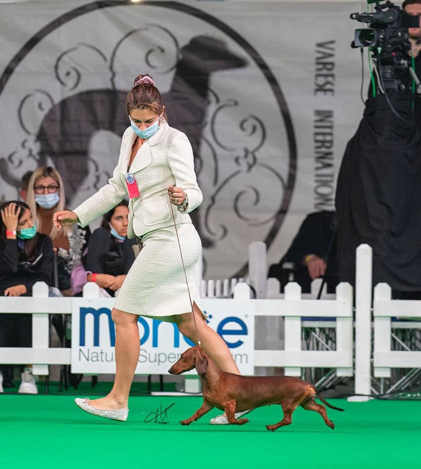 Canis Formula Freya 2 Best in Show classe lavoro