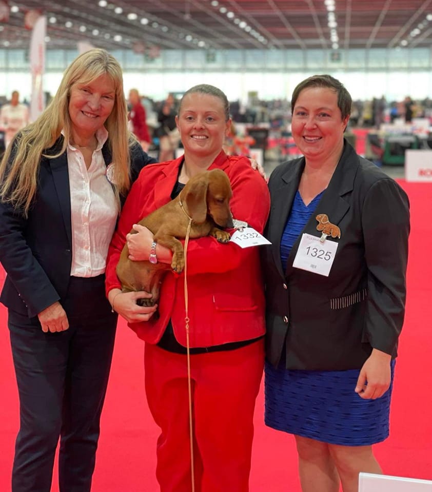 European dog show dachshund Canis Formula Bastet