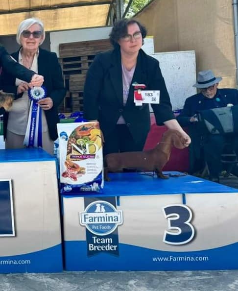 Esposizione Naziona Ponte a Tressa Siena